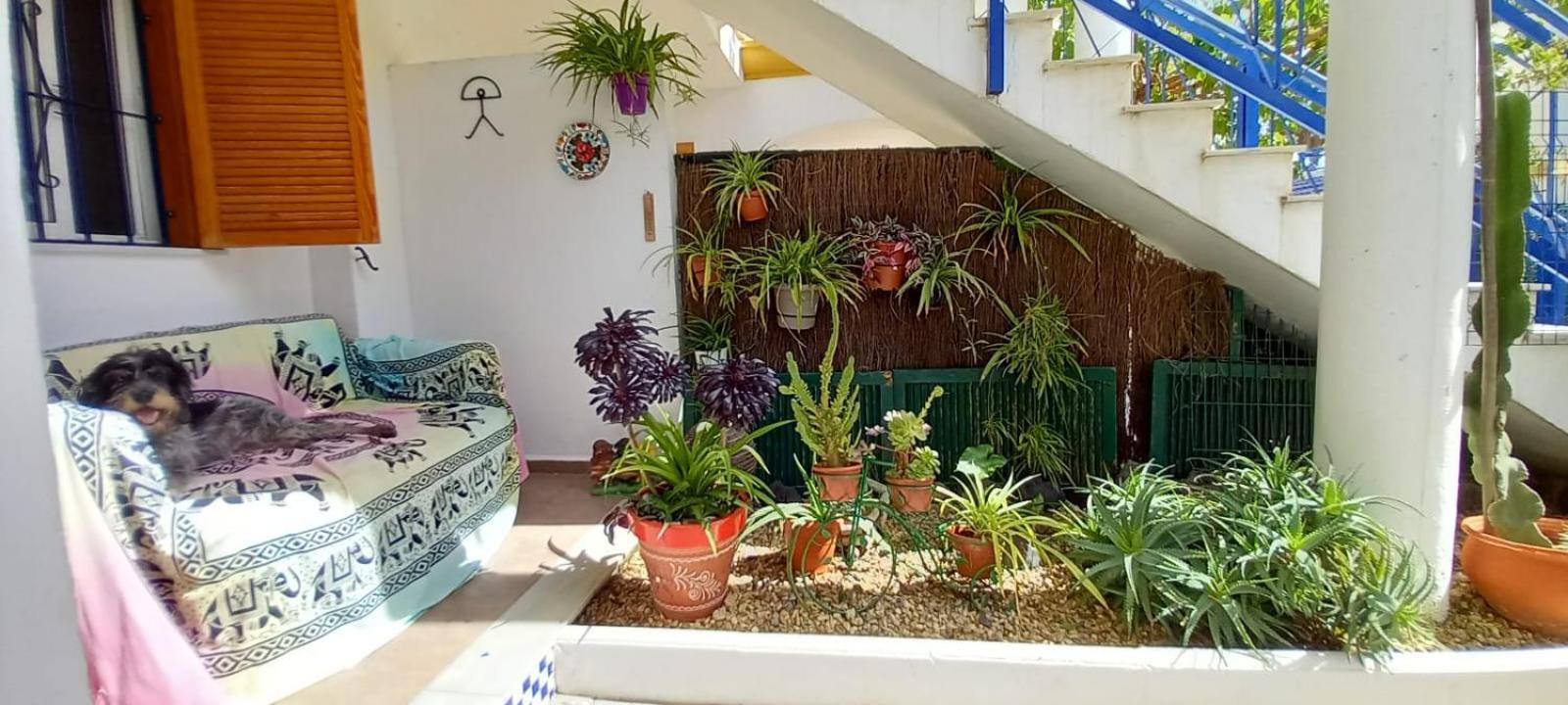 Casa Chiki Vera Exterior foto